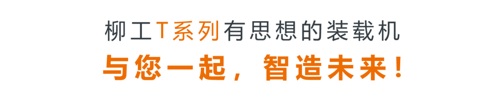 AG庄嫌驻(中国)集团